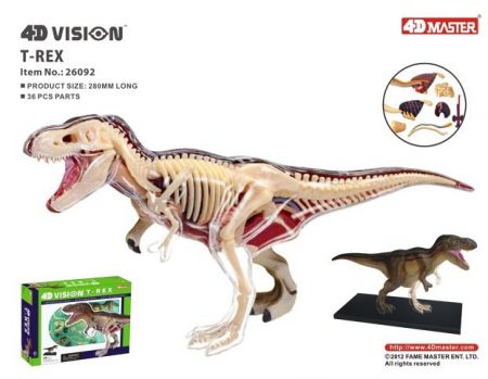 4D Model -  T-Rex