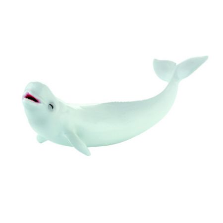 Velryba Beluga