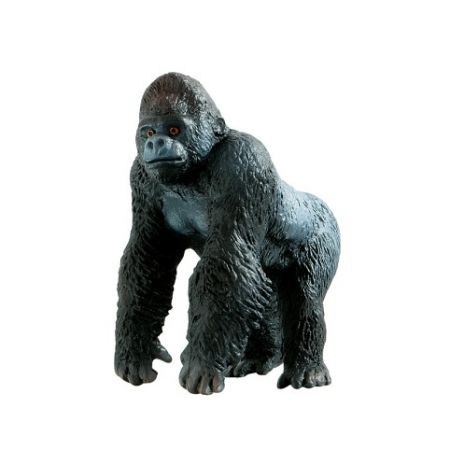 Silverback Gorilla