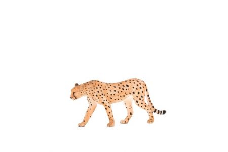 Gepard