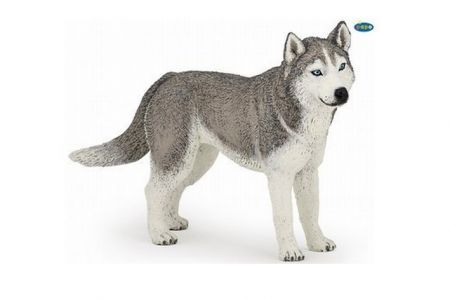 PAPO Husky sibiřský 10 cm