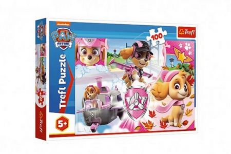 Puzzle Paw Patrol/Tlapková patrola Skye v akci 41x27,5cm 100 dílků v krabici 29x19x4cm