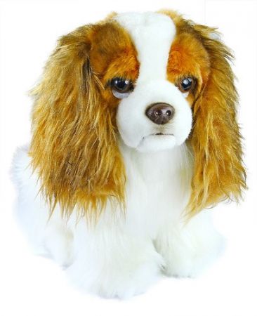 Plyšový pes King Charles Španěl 25cm