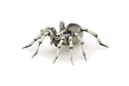 PAPO Tarantule 8cm