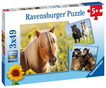 PUZZLE Koně 3x49 dílků