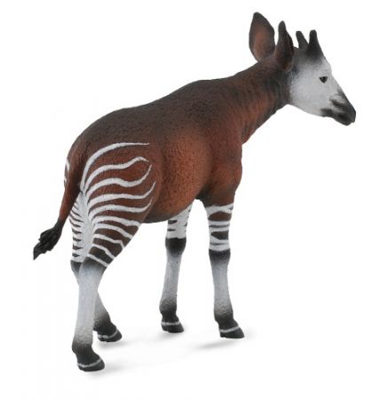 Okapi