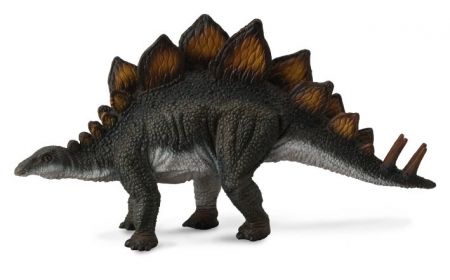 Stegosaurus