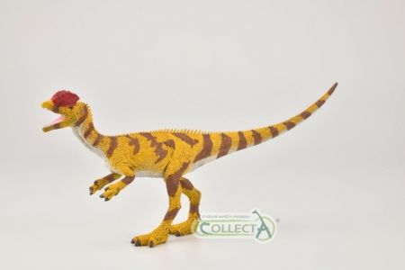 Dilophosaurus