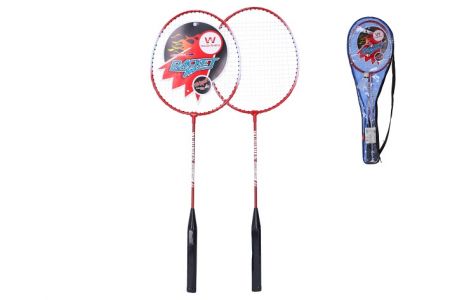 Badminton set