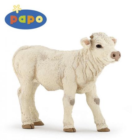 PAPO Telátko Charolais