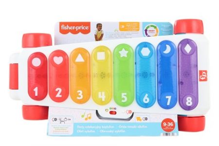 Fisher-Price Obří xylofon CZ/SK/EN/HU/PL HJK41