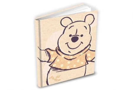 Památník MFP Disney Medvídek Pooh