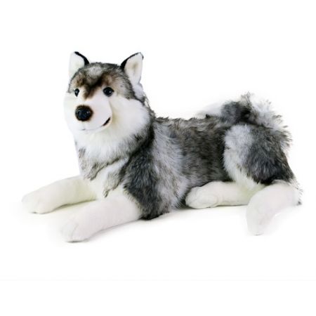 Plyšový pes husky ležící, 50 cm