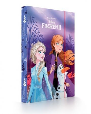 Box na sešity A4 Frozen