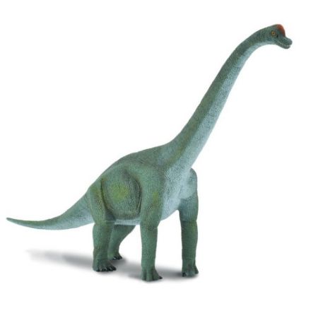 Brachiosaurus