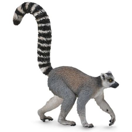 Lemur kata