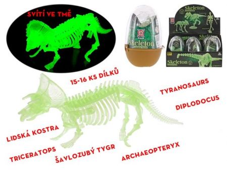 Kostra 15cm ve vajíčku svítící ve tmě 6druhů v krabičce