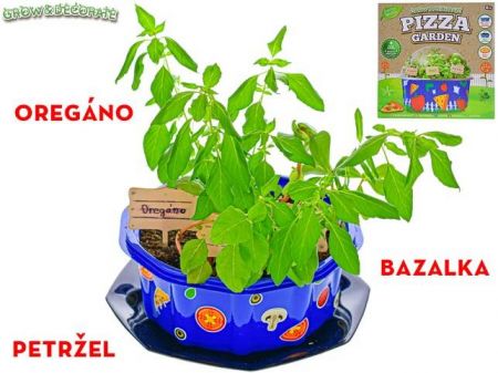 Grow&amp;decorate - bylinky na pizzu 3druhy v PVC květináči s doplňky 6+ v krabičce