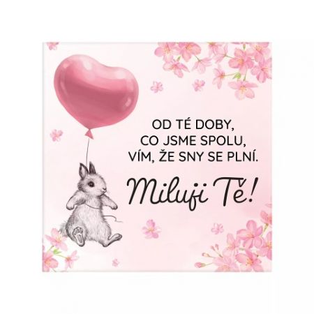 ALBI Magnetka - Miluji Tě