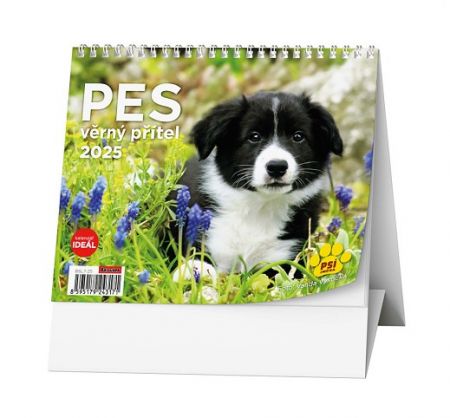 Kalendář stolní týdenní IDEÁL - Pes - věrný přítel /s psími jmény/ 2025 / 16,5cm x 13,5cm 