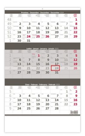 Tříměsíční kalendář šedý 2025 (N204-25)