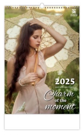 Kalendář Charm of the Moment 2025 (N277-25)
