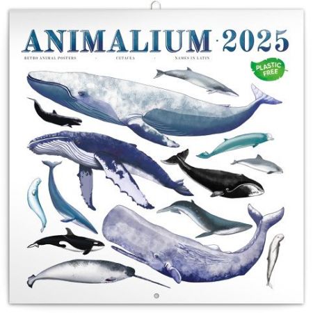 Kalendář nástěnný poznámkový Animalium 2025, 30cm x 30cm, PGP-33805