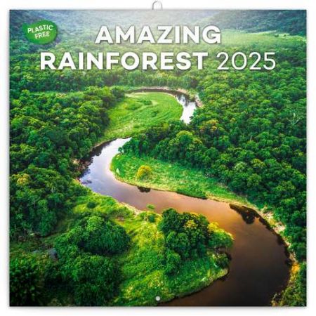 Kalendář nástěnný poznámkový Deštné pralesy 2025, 30cm x 30cm, PGP-33860