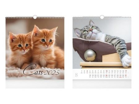 Kalendář 2025 nástěnný malý Cats