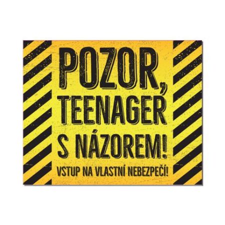 ALBI Cedulka na dveře - Teenager s názorem