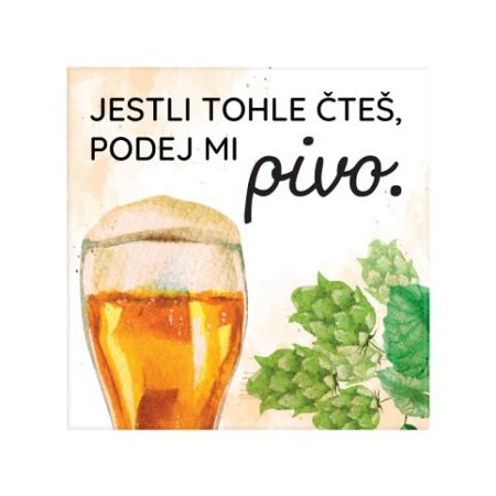 ALBI Magnetka - Pivo