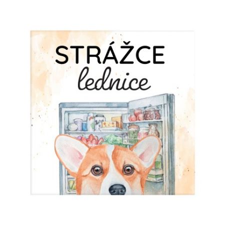 ALBI Magnetka - Strážce lednice