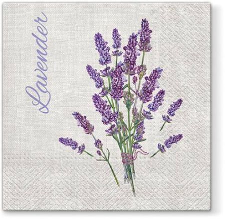 Ubrousky PAW Dekor L (20ks) Lavender for You