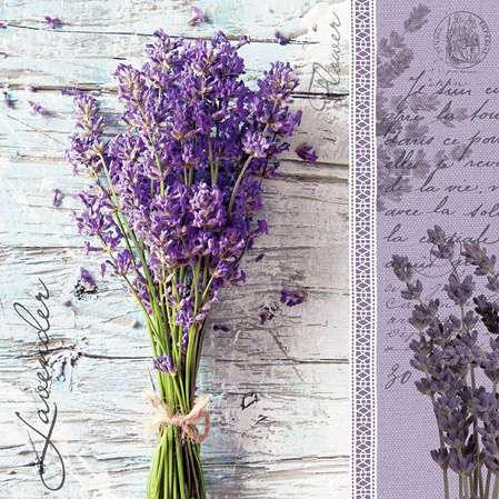 Ubrousky PAW TETE L (20ks) Lavender Bouquet