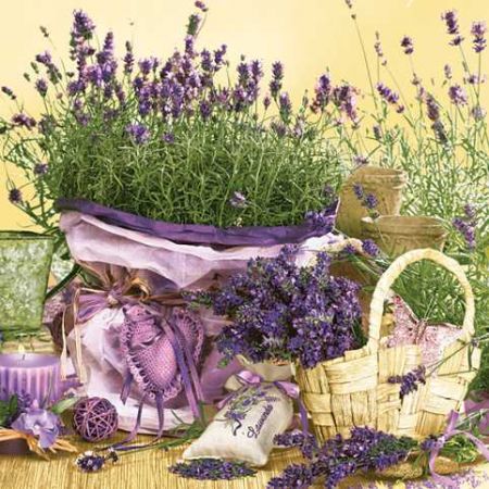 Ubrousky DAISY L (20ks) Scent of Lavender