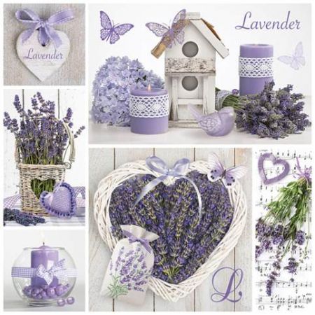 Ubrousky DAISY L (20ks) Lavender Collage