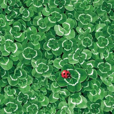 Ubrousky DAISY L (20ks) Clover Background with Ladybug