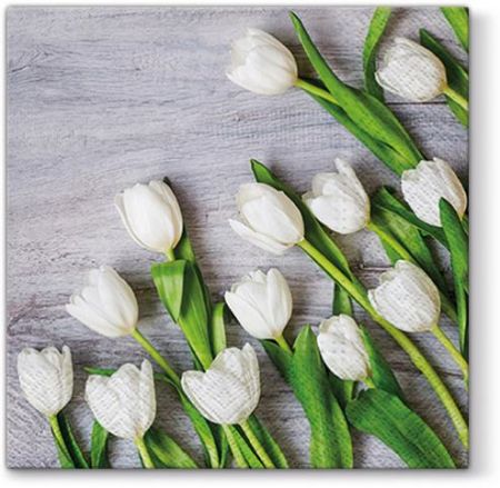 Ubrousky PAW Dekor L (20ks) White Tulips