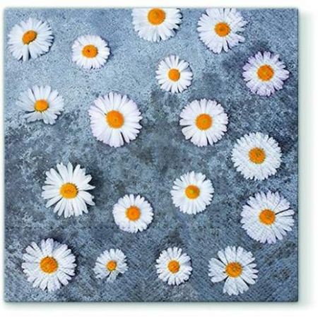 Ubrousky PAW Dekor L (20ks) Daisies Love