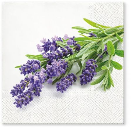 Ubrousky PAW TETE L (20ks) Lavender Bunch