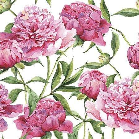 Ubrousky PAW TETE L (20ks) Pink Peonies