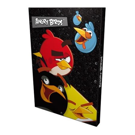 DRF ANGRY BIRDS box A4 na sešity AKCE