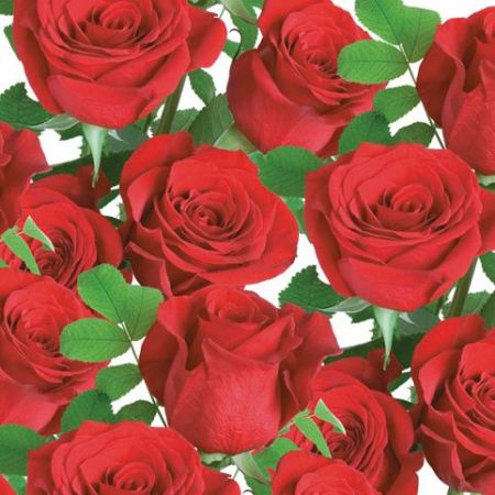 Ubrousky MAKI L (20ks) Classic Red Roses