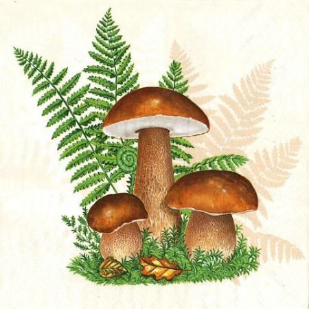 Ubrousky MAKI L (20ks) Boletus with Leaves of Fern