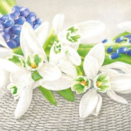 Ubrousky MAKI L (20ks) Snowdrops on Wicker Background