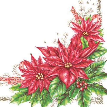 Ubrousky DAISY L (20ks) Elegant Poinsettia