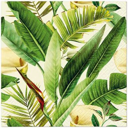 Ubrousky PAW Dekor L (20ks) Tropical Times