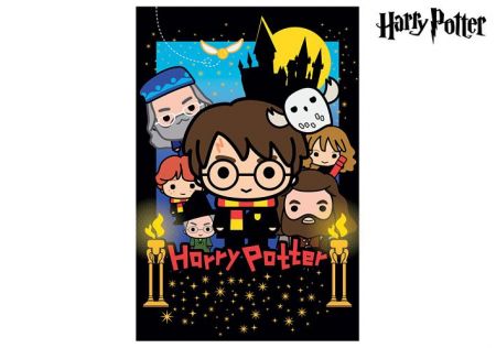 3D puzzle Harry Potter-Harry Potter 300ks