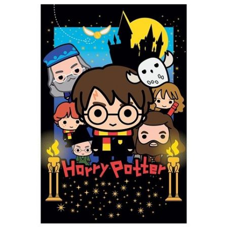 PUZZLE - Harry Potter - Harry Potter 300 dílků 35800