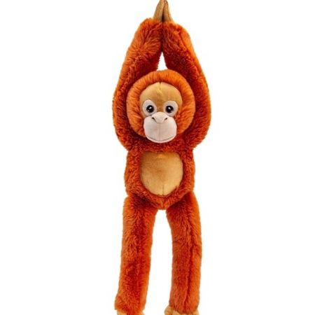 Orangutan 50 cm